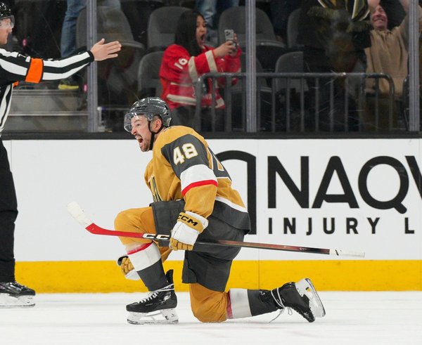 Tomáš Hertl oslavuje gól