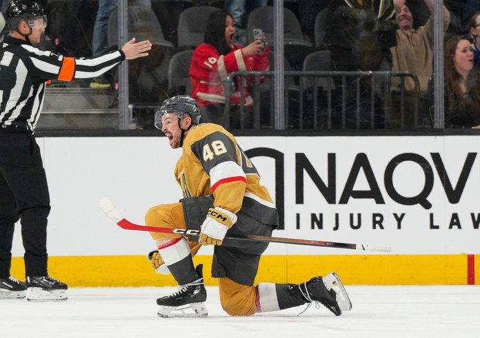 Tomáš Hertl oslavuje gól