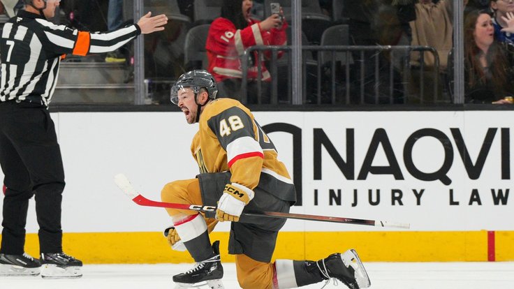 Tomáš Hertl oslavuje gól