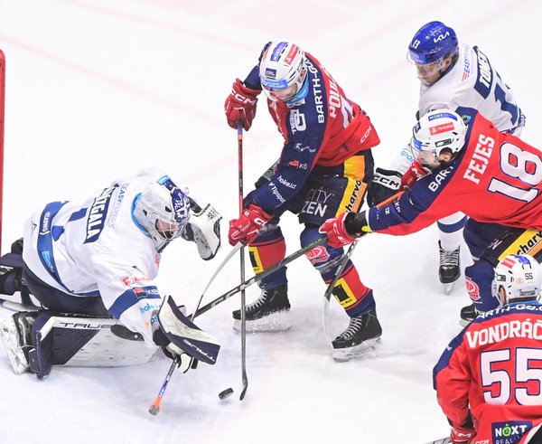 Adam Brízgala odolával střelám Dynama.