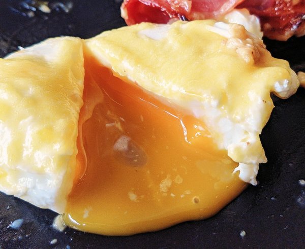 salmonelóza