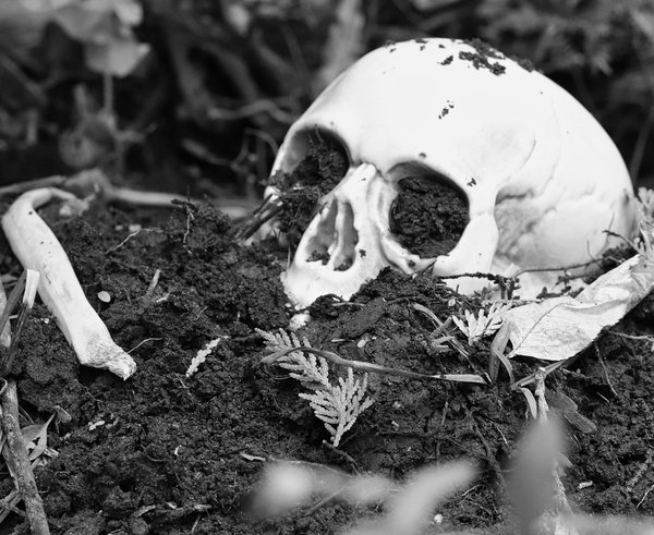 skull-6740772_1280