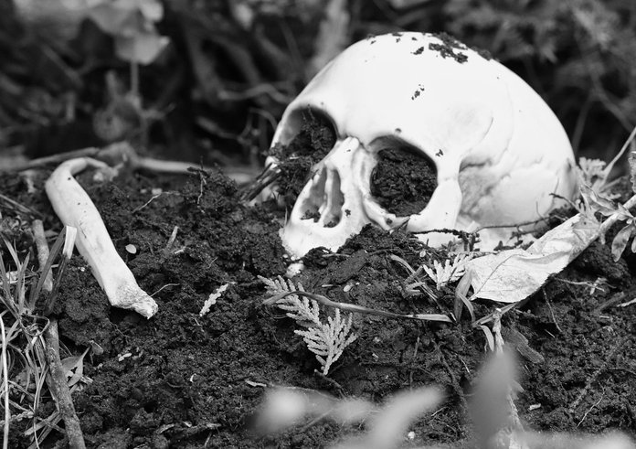 skull-6740772_1280