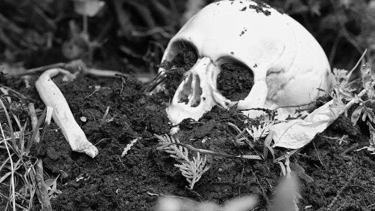 skull-6740772_1280