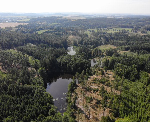Nová chráněná krajinná oblast Slavonické rybníky v Jihočeském kraji.