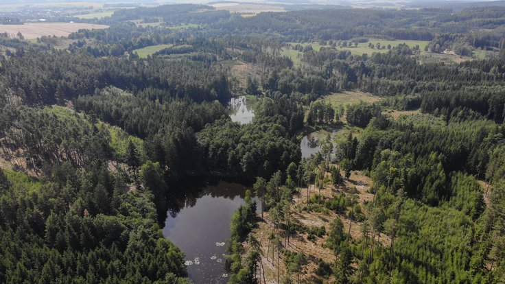Nová chráněná krajinná oblast Slavonické rybníky v Jihočeském kraji.