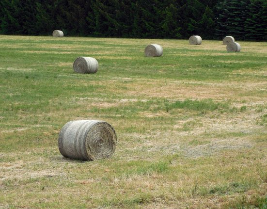 straw_bales_straw_agriculture_hay_hay_bales_harvest_field_stubble-715804 (1)