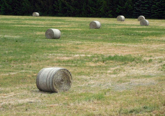 straw_bales_straw_agriculture_hay_hay_bales_harvest_field_stubble-715804 (1)