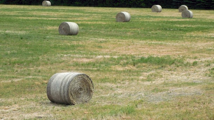 straw_bales_straw_agriculture_hay_hay_bales_harvest_field_stubble-715804 (1)
