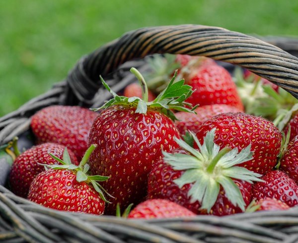 strawberries-7323941_1280