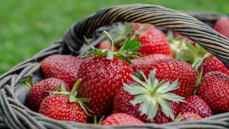 strawberries-7323941_1280