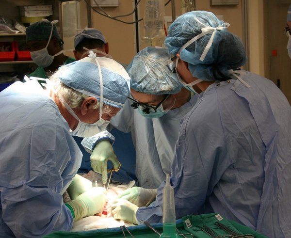surgery_donor_transplantation-840937