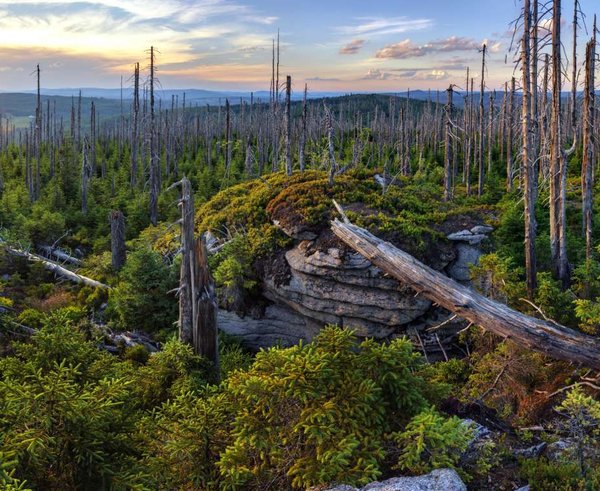 Národní park Šumava