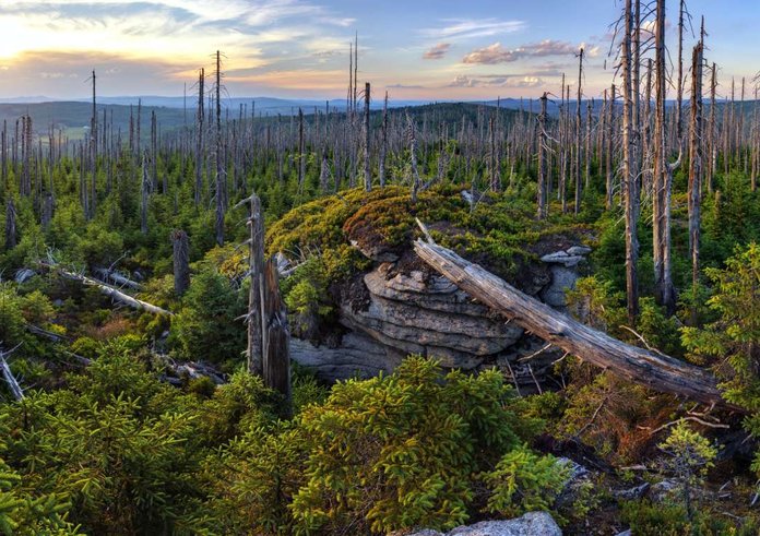 Národní park Šumava