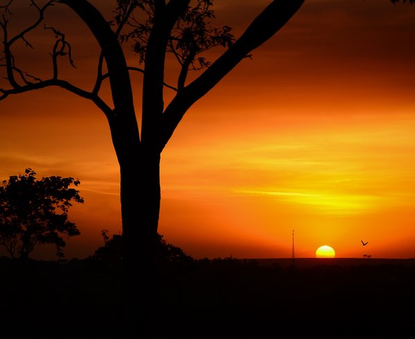 Afrika
