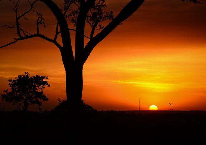 Afrika