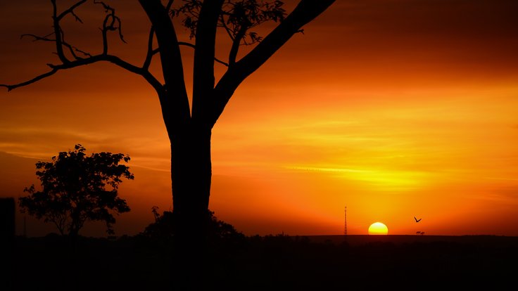 Afrika