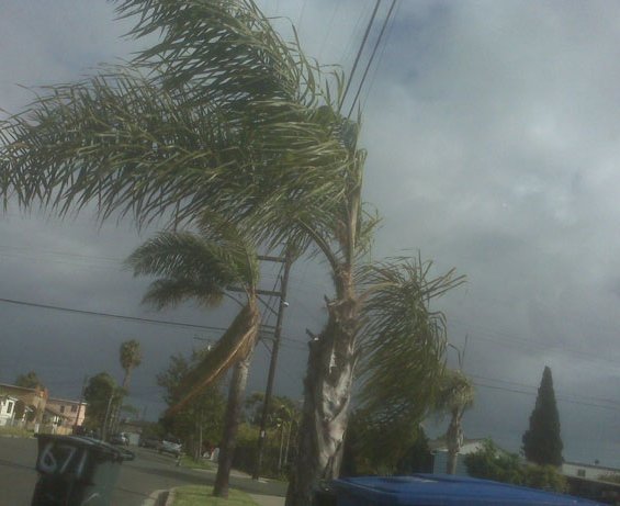 tropical-storm-29211280026392kvmJ