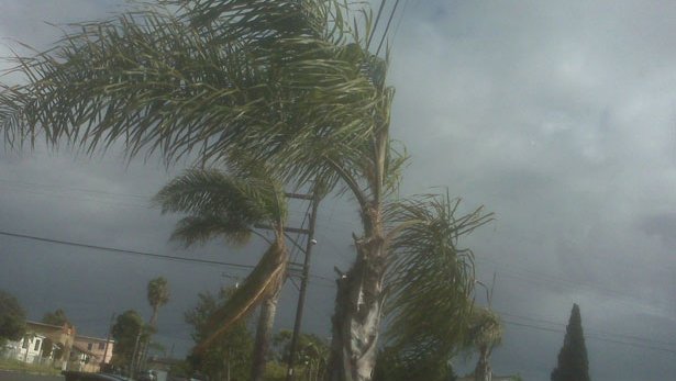 tropical-storm-29211280026392kvmJ