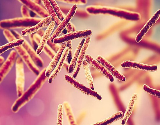 tuberculosis-mycobacterium-bacterial-pathogen-1140x570