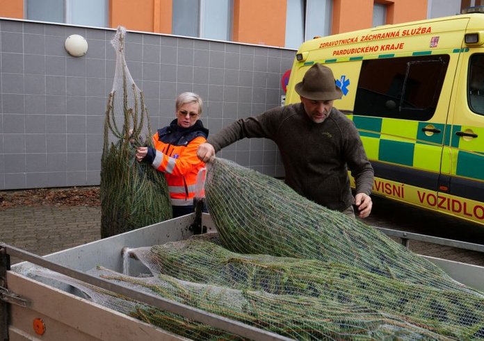 Vánoční stromky dětem od Lesů ČR