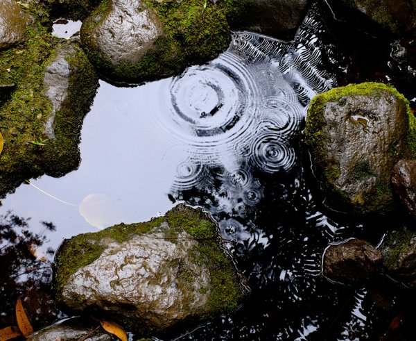 water_puddle_rocks_wet_rain_raining_droplets_nature-705963