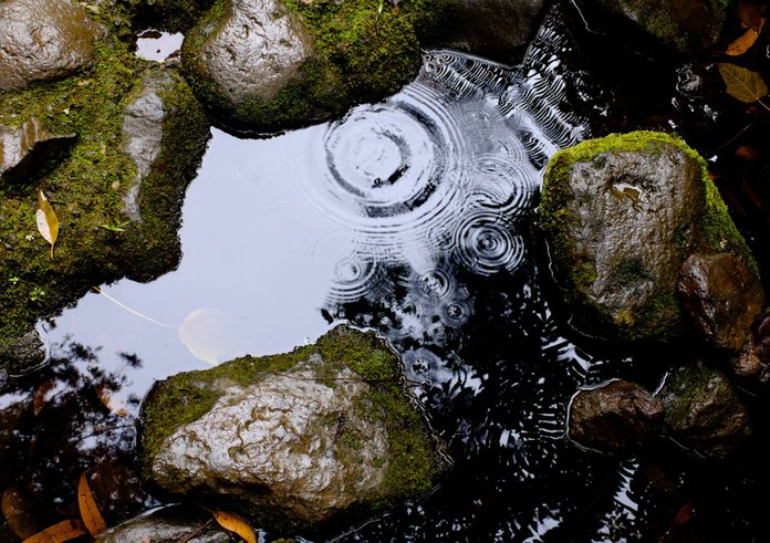 water_puddle_rocks_wet_rain_raining_droplets_nature-705963