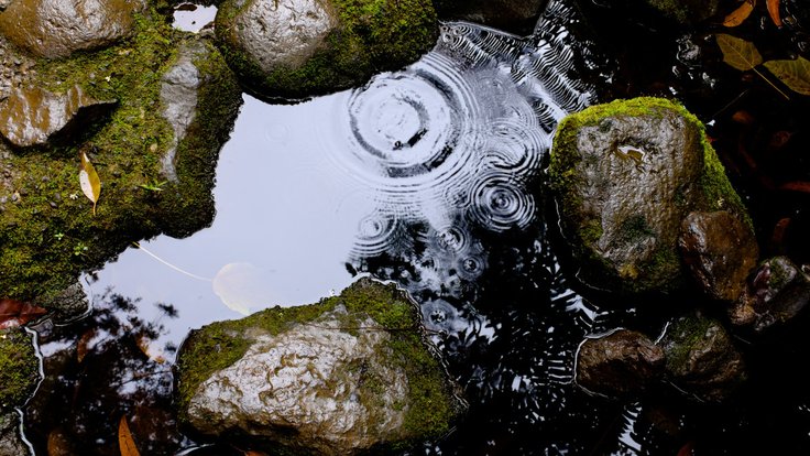water_puddle_rocks_wet_rain_raining_droplets_nature-705963