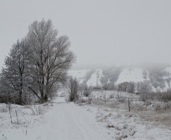 winter_nature_landscape_snow_trees_cold_snow_winter_nature-794846