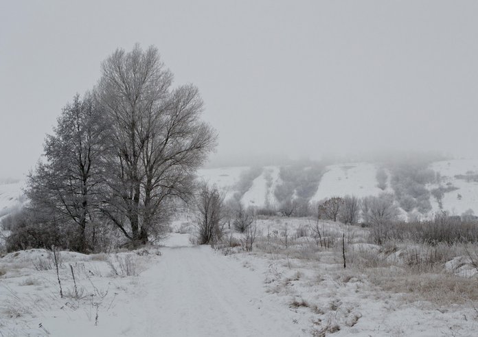 winter_nature_landscape_snow_trees_cold_snow_winter_nature-794846