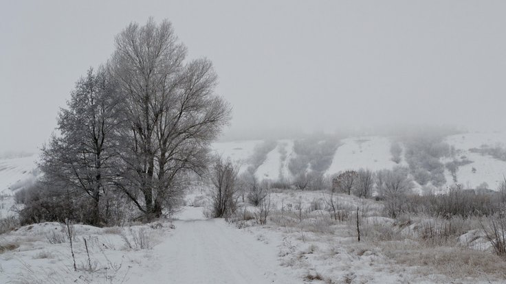 winter_nature_landscape_snow_trees_cold_snow_winter_nature-794846