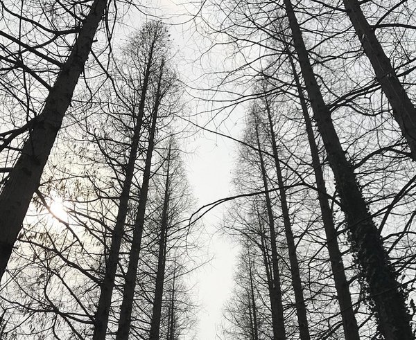 yangzhou-2660812_1280