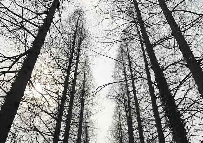 yangzhou-2660812_1280