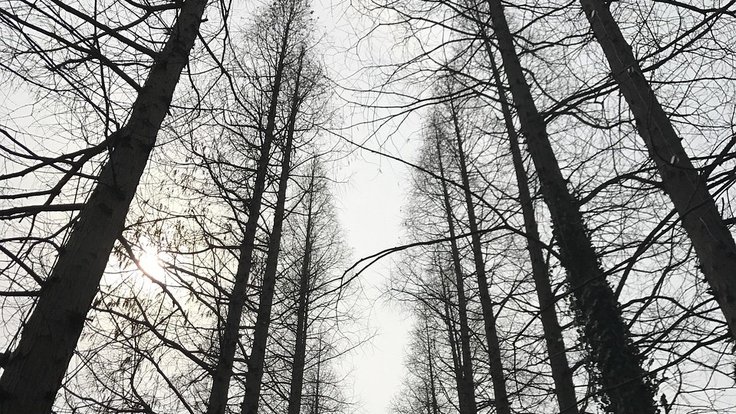 yangzhou-2660812_1280