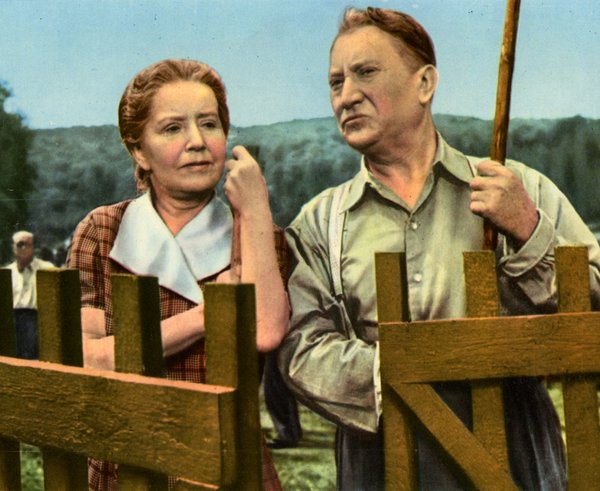 zrqk4mva37n1v5u15hj7